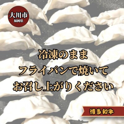 博多和牛 手作り餃子　20個×4パック(大川市)
