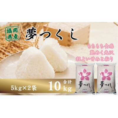 令和4年産　福岡県産夢つくし10kg(5kg×2)(大川市)