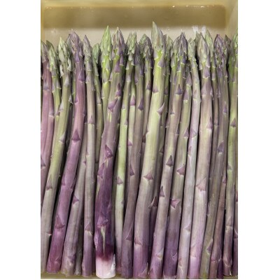 【訳あり】福岡県産アスパラガス 夏芽 緑・紫セット (L-Mサイズ混合 計1kg)(大川市)