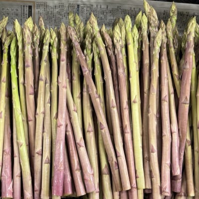 【訳あり】福岡県産アスパラガス 夏芽 緑・紫セット (L-Mサイズ混合 計1kg)(大川市)