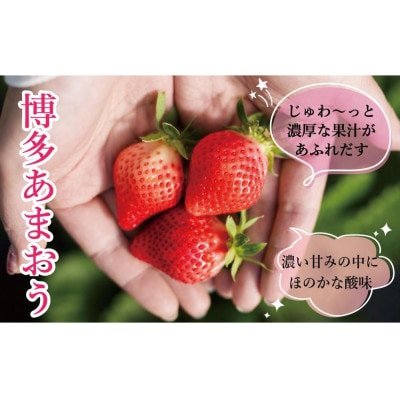 2026年先行受付 博多あまおう 1,080g　約270g×4パック