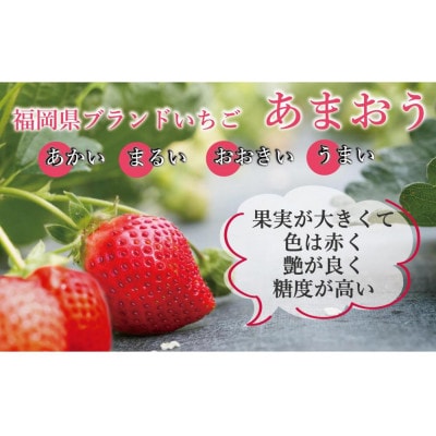 2026年先行受付 博多あまおう 1,080g　約270g×4パック