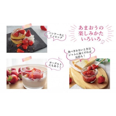 2026年先行受付 博多あまおう 1,080g　約270g×4パック