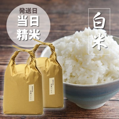 福岡県産「元気つくし」5kg×2袋 [10kg] [白米](大川市)
