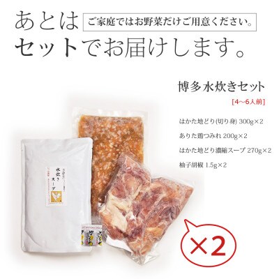 博多水炊き(はかた地どり切り身・つみれ)セット4~6人前(大川市)