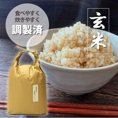 福岡県産「元気つくし」5kg×1袋 [5kg] [玄米](大川市)