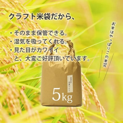 福岡県産「元気つくし」5kg×1袋 [5kg] [玄米](大川市)