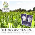 【毎月定期便】奥八女星野村 深蒸し高級煎茶(深蒸し茶)100g×2袋(大川市)全6回