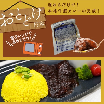 博多和牛100%使用!!あまおうがほのかに香る牛すじゴロっとカレー(170g×15袋)(大川市)