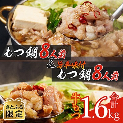 【さとふる限定】もつ鍋食べ比べセット!16人前(生もつ・味付けもつ)牛もつ合計1.6kg(大川市)