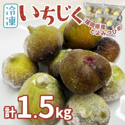 福岡県産「博多とよみつひめ」冷凍いちじく!合計1.5kg(大川市)
