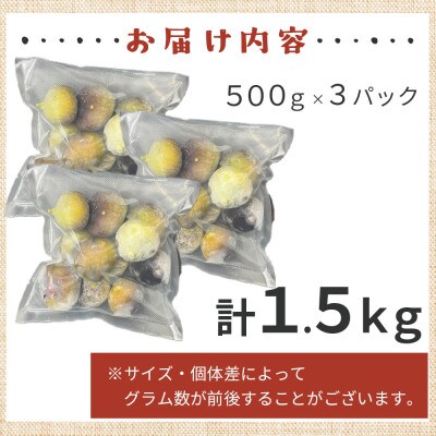 福岡県産「博多とよみつひめ」冷凍いちじく!合計1.5kg(大川市)