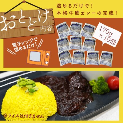 【毎月定期便】あまおうがほのかに香る 博多和牛の牛筋ゴロっとカレー(10袋)(大川市)全12回