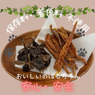 【はかた地どり使用】化粧箱でお届け !素材そのままささみスティック&砂肝チップ　40g×各1袋ずつ