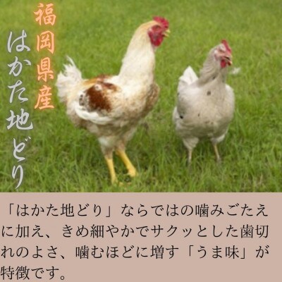 【はかた地どり使用】ワンちゃんもうれしい !素材そのまま　ささみスティック　40g×2袋