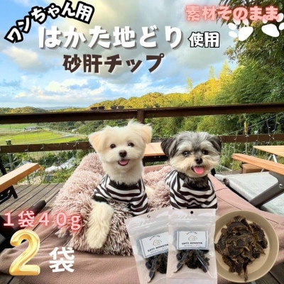 【はかた地どり使用】ワンちゃんもうれしい !素材そのまま　砂肝チップ　40g×2袋