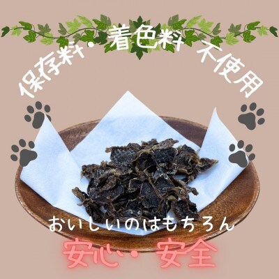 【はかた地どり使用】ワンちゃんもうれしい !素材そのまま　砂肝チップ　40g×2袋