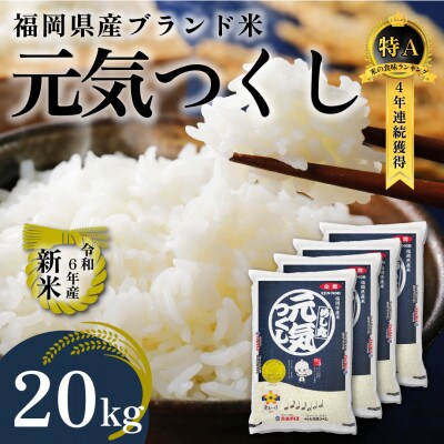 令和6年産 福岡県産米 元気つくし 合計20kg(5kg×4袋)
