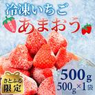 【さとふる限定】福岡スイーツ自然の贈り物!福岡県産冷凍あまおう(500g×1袋)(大川市)