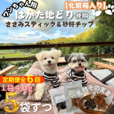 【2ヵ月毎定期便】化粧箱でお届け !素材そのままささみスティック&砂肝チップ 40g×各5袋全6回