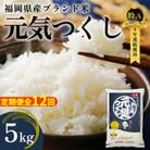 【毎月定期便】【化粧箱入り】福岡県産米 元気つくし 5kg×1袋(大川市)全12回