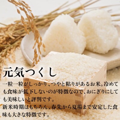 【2ヵ月毎定期便】福岡県産米 元気つくし 合計10kg(5kg×2袋)(大川市)全3回