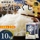 【毎月定期便】福岡県産米 元気つくし 合計10kg(5kg×2袋)(大川市)全10回