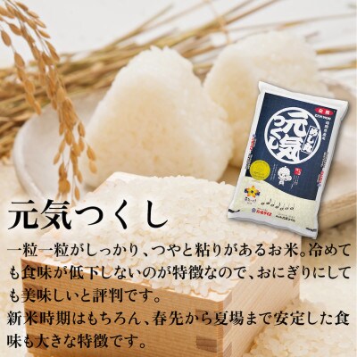 【2ヵ月毎定期便】福岡県産米「夢つくし」「元気つくし」食べ比べセット 各5kg×2袋(大川市)全3回