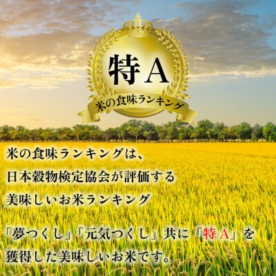 【2ヵ月毎定期便】福岡県産米「夢つくし」「元気つくし」食べ比べセット 各5kg×2袋(大川市)全3回
