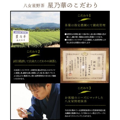 【毎月定期便】八女星野産 玉露ティーバッグ2.5g×100個 八女茶(大川市)全3回
