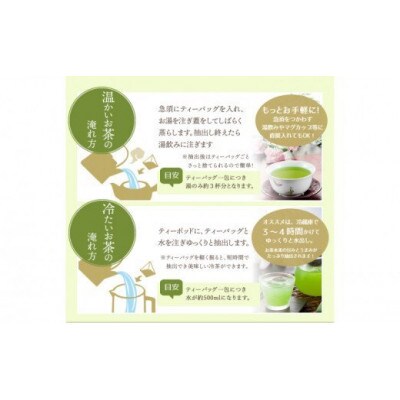 【毎月定期便】八女星野産 玉露ティーバッグ2.5g×100個 八女茶(大川市)全3回
