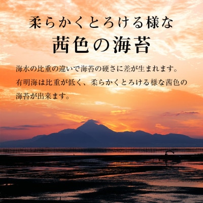 【毎月定期便】有明海苔 味海苔 大丸ボトル 8切80枚 6本セット全6回