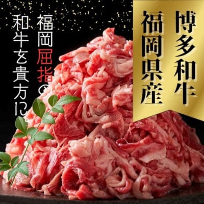 【訳あり】【A4～A5ランク】博多和牛 切り落とし500g(250g×2個)(大川市)
