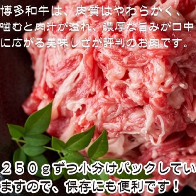 【訳あり】【A4～A5ランク】博多和牛 切り落とし500g(250g×2個)(大川市)
