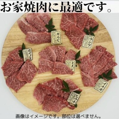 【2ヵ月毎定期便】博多和牛A4ランク以上 希少部位おまかせ6種セット420g(大川市)全6回