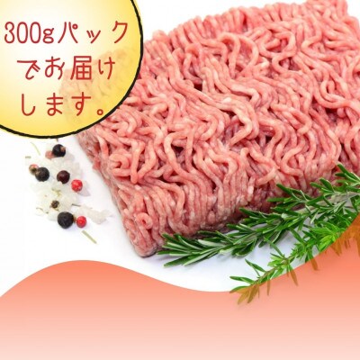博多和牛100%ミンチ(挽肉)【訳あり】600g(300g×2個)(大川市)