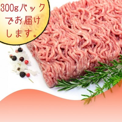 【毎月定期便】博多和牛100%ミンチ(挽肉) 訳あり 600g(300g×2個)(大川市)全6回