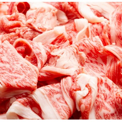 【毎月定期便】博多和牛A4ランク以上切り落とし 訳あり 2kg(500g×4個)(大川市)全2回