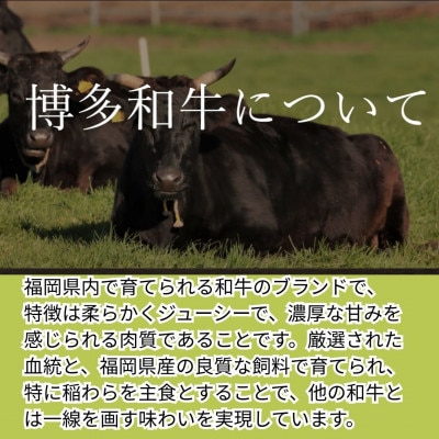 【博多和牛100%使用】お肉屋さんの手ごねジューシー生ハンバーグ180g×4個(大川市)