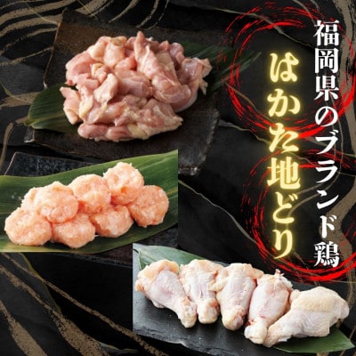 福岡グルメを味わえる!!博多の旨み満足セット(水炊き7人前～8人前&明太子500g1箱)(大川市)