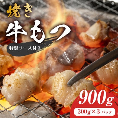焼きもつ900g(大川市)