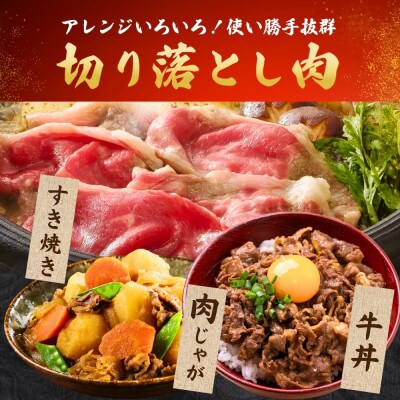 博多和牛切り落とし1kg(大川市)