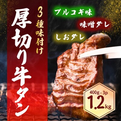 厚切り牛タン 3種の味付け《プルコギ・塩ダレ・味噌ダレ》1.2kg(大川市)