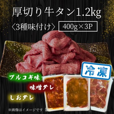厚切り牛タン 3種の味付け《プルコギ・塩ダレ・味噌ダレ》1.2kg(大川市)