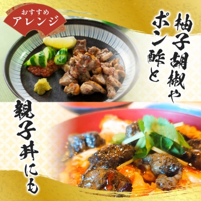 鶏の黒煙炭火焼き600g(レトルトパック)(大川市)