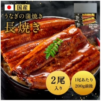 国産うなぎ蒲焼200g×2尾(大川市)