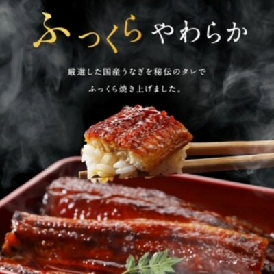 国産うなぎ蒲焼200g×2尾(大川市)