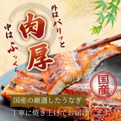 国産うなぎ蒲焼200g×2尾(大川市)