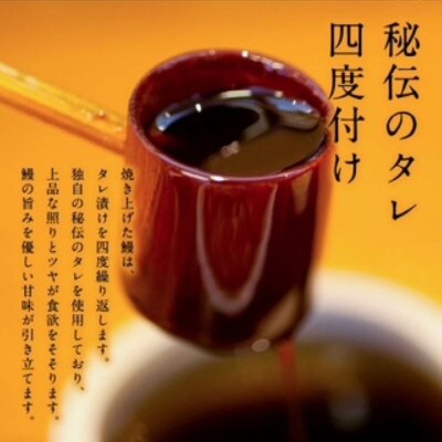 国産うなぎ蒲焼200g×2尾(大川市)