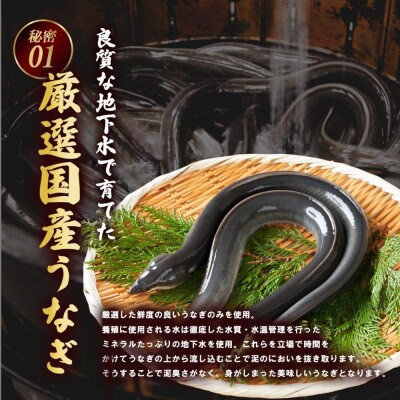 国産うなぎ蒲焼200g×2尾(大川市)